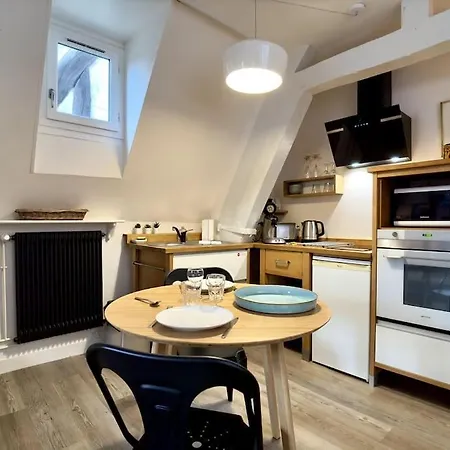 Hyper Centre - L'antiquaire Apartment *