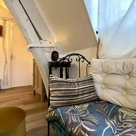 Hyper Centre - L'antiquaire Apartment *