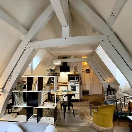 Apartment Hyper Centre - L'antiquaire