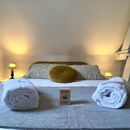 Hyper Centre - L'antiquaire Apartment