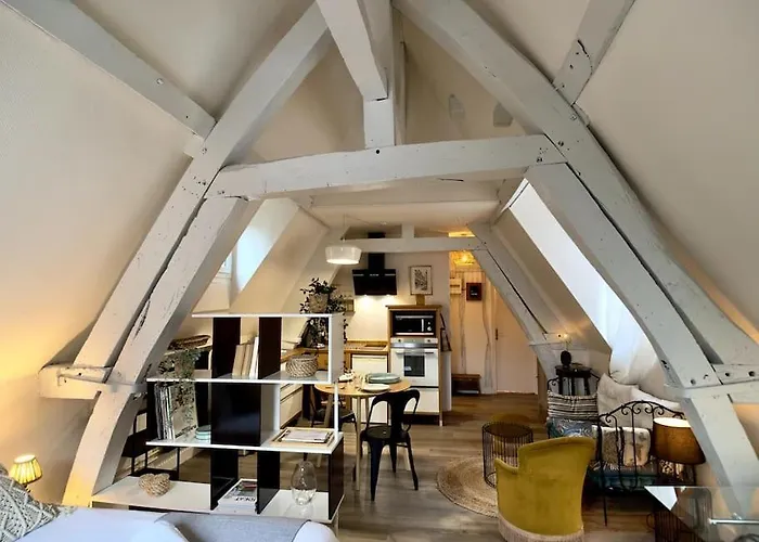 Apartman Hyper Centre - L'antiquaire